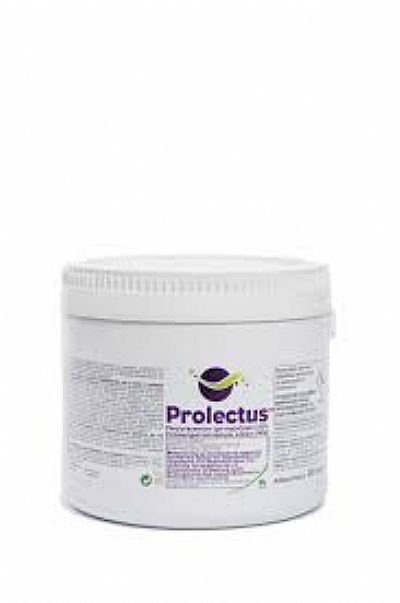 Prolectus